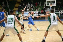 Lions Bisceglie sconfitti sul parquet di Avellino