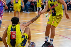 Lions Bisceglie, non c'è alternativa alla vittoria