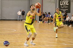 Lions Bisceglie sconfitti sul parquet di Jesi