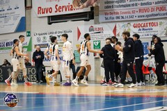 I Lions Bisceglie lottano ma devono cedere sul parquet di Piazza Armerina in gara1 dei playoff