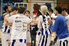 Solidi e determinati, i Lions Bisceglie piegano Avellino