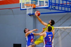 Lions Bisceglie, stop ininfluente. Testa ai playoff