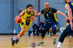 Lions Bisceglie sconfitti da Recanati