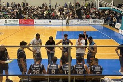 I Lions Bisceglie lottano ma devono cedere sul parquet della corazzata Virtus Matera