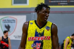 Lions Bisceglie sul parquet di Senigallia  alla ricerca del settimo sigillo consecutivo