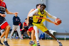 Parte lo sprint conclusivo della regular season, i Lions Bisceglie sfidano Perugia