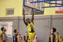 I Lions Bisceglie sfidano Vasto con l'obiettivo della terza vittoria stagionel