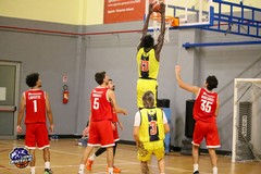 I Lions Bisceglie cercano conferme nel match con l’Amatori Pescara