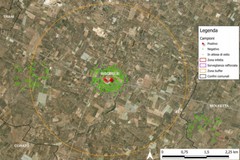 Xylella a Bisceglie: in Prefettura per seguire l'evoluzione