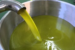 Olio extravergine d'oliva, consumo al top