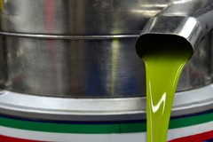 L'amministrazione convoca un incontro con i produttori della filiera olivicola