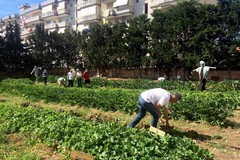 Una merenda nell'orto urbano per brindare all'inclusione sociale e chiudere i rubinetti dell'irrigazione