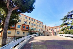 Sospeso in via cautelare il dirigente medico dell'ospedale di Bisceglie ai domiciliari