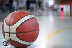 Lions Bisceglie, il team Under 17 Eccellenza  in campo per gli spareggi di ammissione