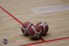 Lions Bisceglie di scena a Matera nel weekend per il trofeo BCC Basilicata