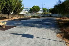 «Gli spazi verdi nei quartieri San Francesco e Seminario sono in totale degrado»