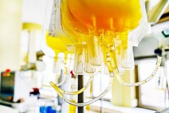 Procedure più rapide per la donazione di plasma iperimmune