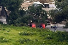 12enne morta schiacciata da un albero, la Procura di Trani apre un'inchiesta