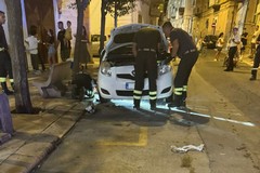 Gatto salvato dai  Vigili del Fuoco in via Cavour