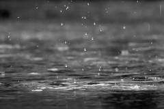 Allerta meteo gialla per piogge per l’intera giornata di mercoledì 1° ottobre
