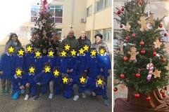 L'associazione Panta Rei dona l'albero di Natale ai bambini della scuola "Carrara Reddito"