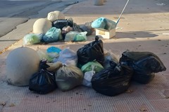 «Servizio di igiene urbana inqualificabile: penali inadeguate e mezzi non tracciati»