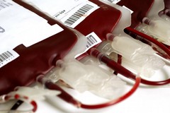 Due donazioni straordinarie di sangue organizzate dall'Avis Bisceglie