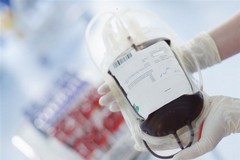Urgente necessità di sangue per un paziente biscegliese