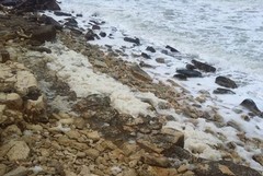 Bisceglie Spiagge Libere Con Servizi Ecco I Progetti