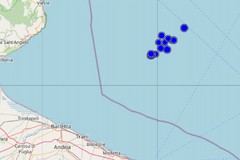 Sequenza sismica al largo delle coste biscegliesi