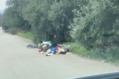 Igiene urbana, Francesco Spina: «Tra gravi ritardi e consapevoli "omissioni"»