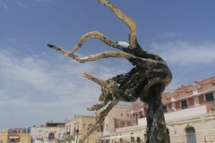 Danneggiata scultura negli spazi del porto turistico