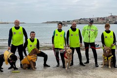 L'intervista al Presidente della Scuola Cani Salvataggio nautico di Bari, Donato Castellano