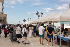 Bicomix 2025: i collettivi della Self Island - LE INTERVISTE