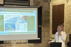 Sostenibilità e urbanistica: le "città intelligenti" di Tiziana Gallo