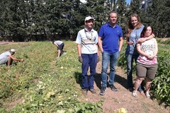 Tutti nell'orto a raccogliere i frutti di GrInLab: si è conclusa la fruttuosa esperienza del primo orto urbano allestito in una scuola