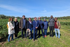 Presentati i risultati del progetto "Un'altra terra". Foto