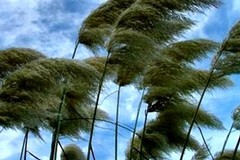 Forte vento, allerta meteo su tutta la Puglia: le ultime