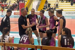 Star Volley Bisceglie sconfitta sul campo della corazzata Vibo Valentia