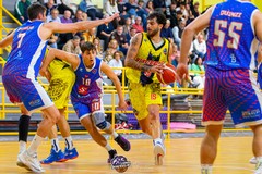 Tempo di playoff, Lions Bisceglie sul parquet del Costone Siena per gara1 del primo turno