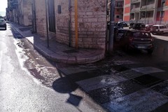 Salta il tombino, scarafaggi e un fiume di fogna in via Imbriani