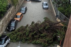 Grossi danni a causa del maltempo a Bisceglie - LE FOTO