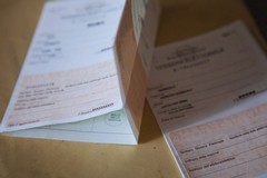 Referendum sulla Giustizia 2026, affluenza ore 12: a Bisceglie ha votato il 12,09%