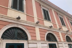 Puglia Culture: «Annullati due spettacoli di danza in programma al Teatro Garibaldi»