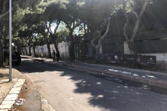 Sparatoria in discoteca, Melchiorre: «Mi colpisce il rischio corso da tanti ragazzi»