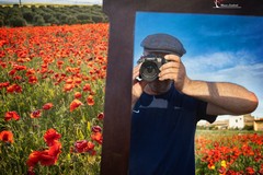 "Puglia... la mia terra madre": oggi l'inaugurazione della mostra di Mauro Lombardi