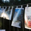 "Bisceglie in mostra ", evento al Giardino botanico