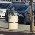 Giorgia Preziosa: «La gestione dell'area mercatale è vergognosa»