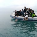 Cinque tartarughe marine liberate nelle acque biscegliesi