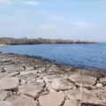 Il Consiglio di Stato conferma i  "pasticci amministrativi " della zona 167 di Bisceglie